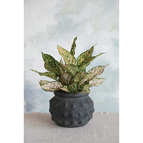 Creative Co-Op Terra-Cotta Raised Dots Vase, 11" L x 11" W x 9" H, Black