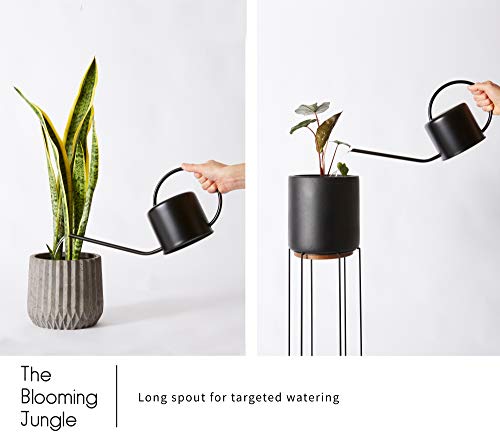 Indoor Watering Can - Matte Black Metal - 44oz or 1.3L - Long Spout for Easy Houseplant Watering