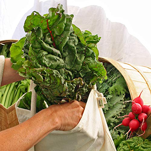 Simple Ecology Muslin Reusable Produce Shopping and Storage Bags, Organic Cotton, Drawstring, Washable, Tare Weight Tag; Set of 6 with 2 ea. L, M, S