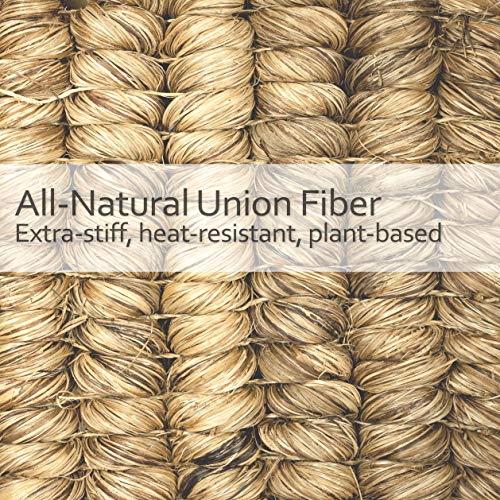 Redecker Union Fiber Toilet Brush with Untreated Beechwood Handle, Durable Natural Stiff Bristles, 15", Made in Germany
