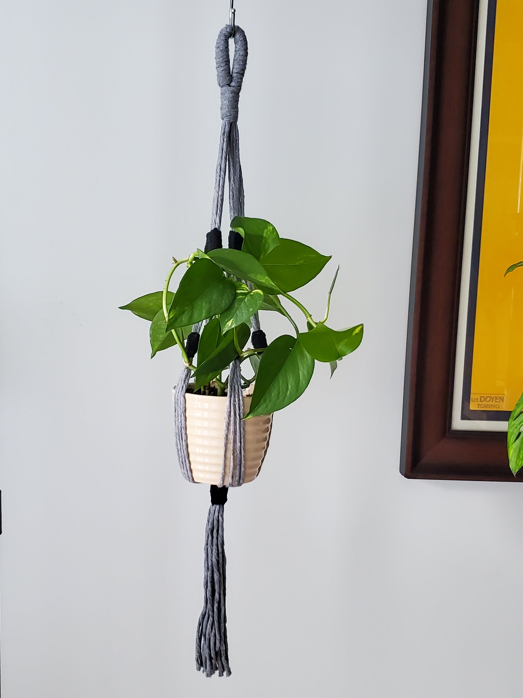 Macrame Plant Hanger | Cotton Frizz Swirl Knot | Recycled Cotton | Home Decor shops | Plants | Boho Decoration