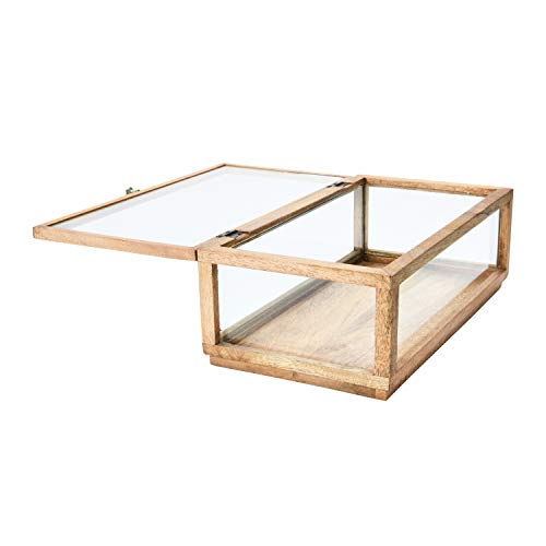 Creative Co-Op Mango Wood & Glass Display Lid Storage Box, Natural