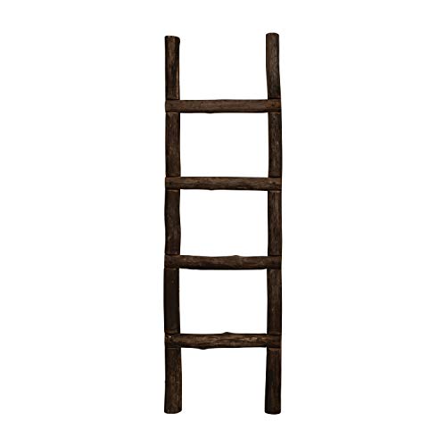 Creative Co-Op Reclaimed Wood Ladder, Natural