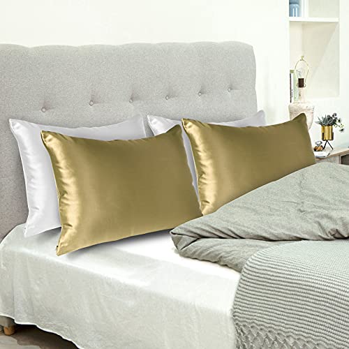 Natural Silk Pillowcase for Hair and Skin with Hidden Zipper, 22 Momme, 600 Thread Count 100% Mulberry Silk Pillowcase, Soft Smooth Both Sided Silk Pillow Cover(Champagne, Queen 20''×30'',1pc)