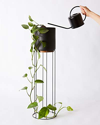 Indoor Watering Can - Matte Black Metal - 44oz or 1.3L - Long Spout for Easy Houseplant Watering