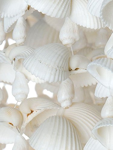 KOUBOO 1050056 Drum Clamrose Seashell Pendant Lamp, 18" x 18" x 22", White