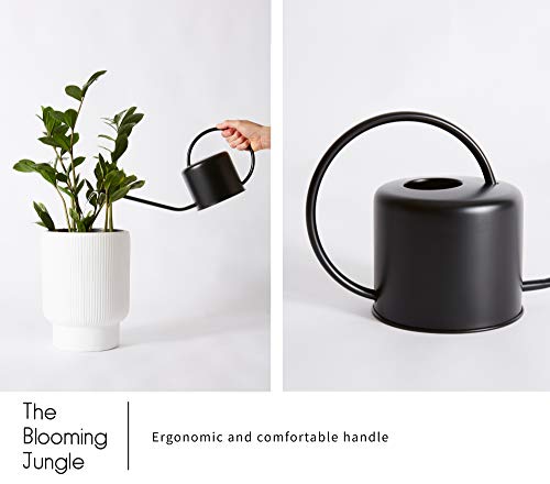 Indoor Watering Can - Matte Black Metal - 44oz or 1.3L - Long Spout for Easy Houseplant Watering