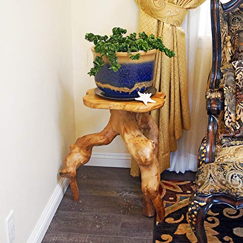 WELLAND Tree Stump Side Table, Live Edge Stool, Natural Edge Wood Side Table, Accent Table, 19" Tall
