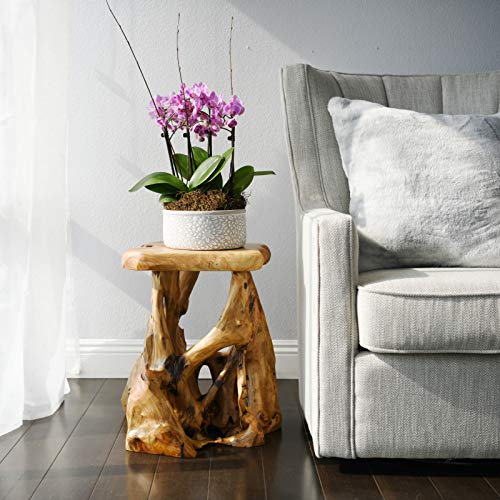 WELLAND Tree Stump Side Table, Live Edge Stool, Natural Edge Wood Side Table, Accent Table, 19" Tall