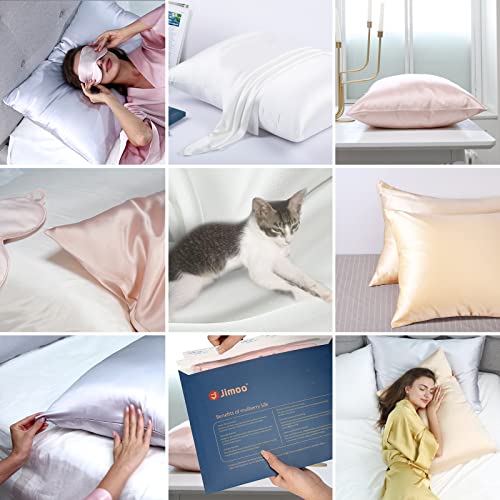 Natural Silk Pillowcase for Hair and Skin with Hidden Zipper, 22 Momme, 600 Thread Count 100% Mulberry Silk Pillowcase, Soft Smooth Both Sided Silk Pillow Cover(Champagne, Queen 20''×30'',1pc)