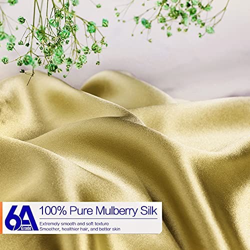 Natural Silk Pillowcase for Hair and Skin with Hidden Zipper, 22 Momme, 600 Thread Count 100% Mulberry Silk Pillowcase, Soft Smooth Both Sided Silk Pillow Cover(Champagne, Queen 20''×30'',1pc)