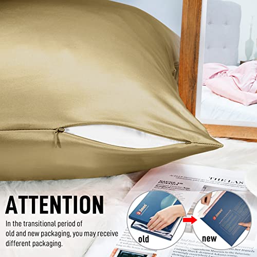 Natural Silk Pillowcase for Hair and Skin with Hidden Zipper, 22 Momme, 600 Thread Count 100% Mulberry Silk Pillowcase, Soft Smooth Both Sided Silk Pillow Cover(Champagne, Queen 20''×30'',1pc)