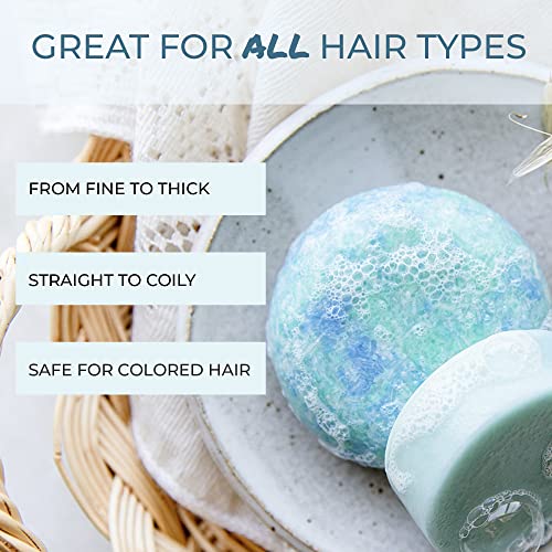 Suds & Co. Solid Shampoo Bar, Zero Waste Shampoo, Natural Shampoo Bar Soap, Sustainable, Eco-Friendly Hair Care - Earth, 3.0 Ounce