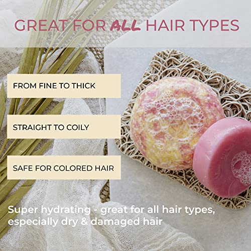 Suds & Co. Solid Shampoo Bar, Zero Waste Shampoo, Natural Shampoo Bar Soap, Sustainable, Eco-Friendly Hair Care - Sunkissed, 3.0 Ounce