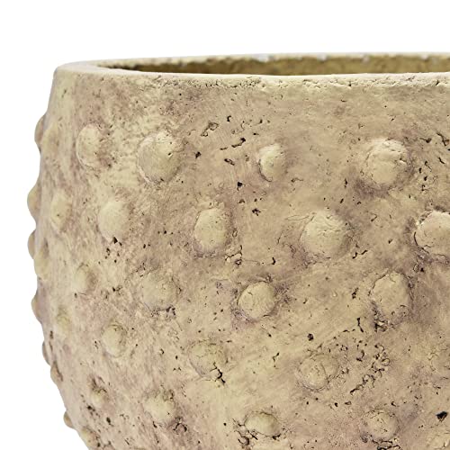 Creative Co-Op Sandstone Hobnail, Distressed Finish Planter Pot, 9" L x 9" W x 7" H, Beige